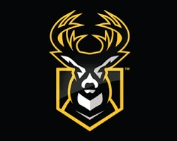 Young Bucks Baseball